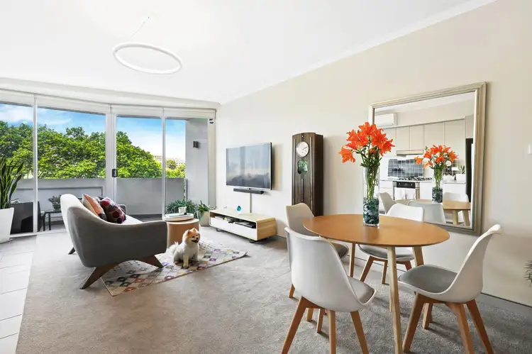 15/61-65 Regent Street, Chippendale NSW 2008