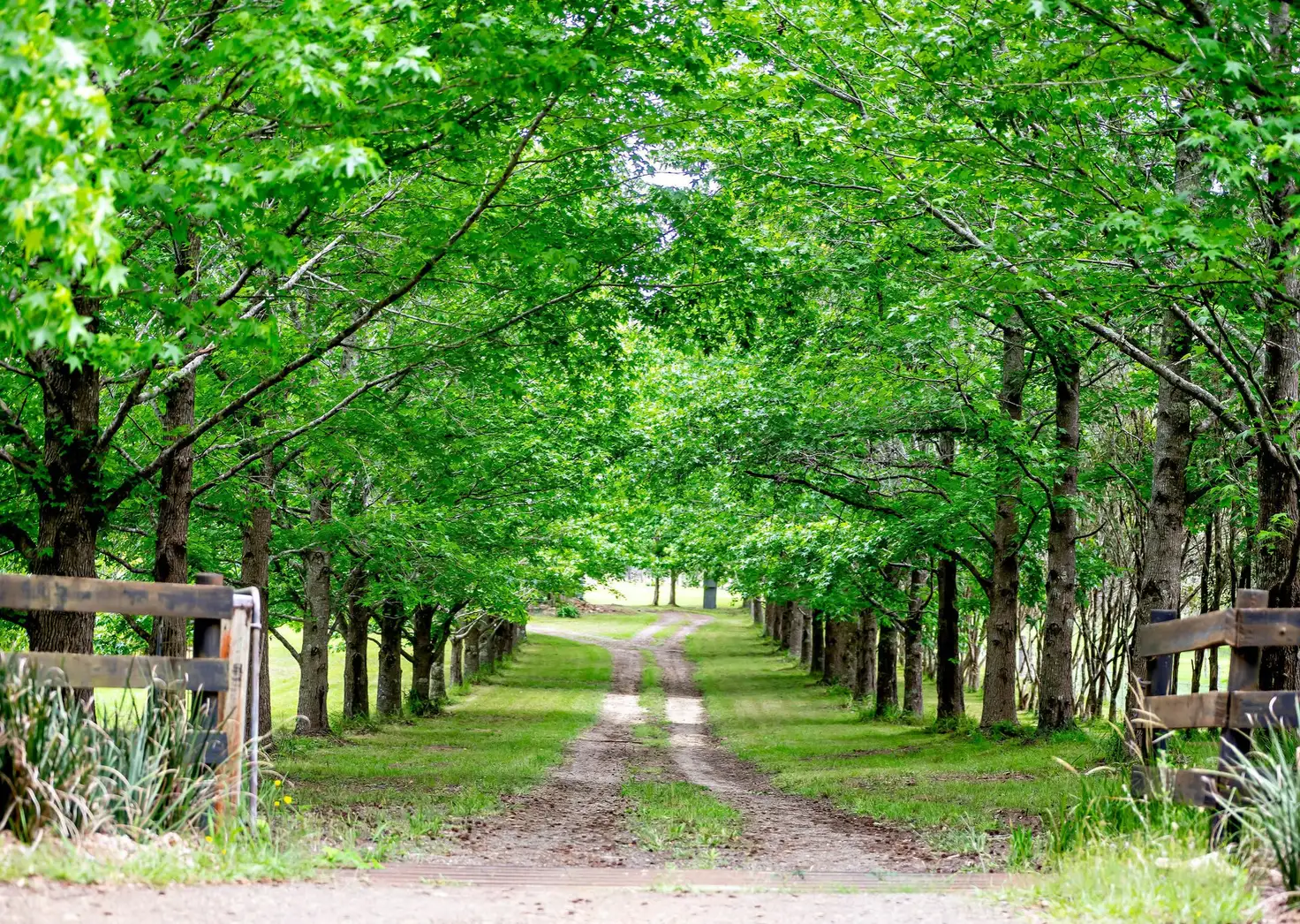 Main view of Homely rural property listing, 181 Ferry Road, Oxley Island NSW 2430