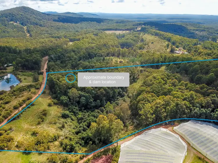 262 Grays Road, Halfway Creek NSW 2460