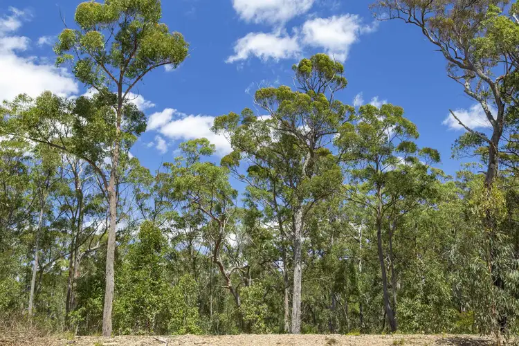 Seventh view of Homely land listing, Lot 6 Wamban Road, Moruya NSW 2537