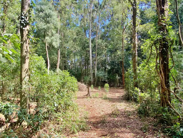 Sixth view of Homely land listing, Lot 9 Bunya Mountains Road, Bunya Mountains QLD 4405