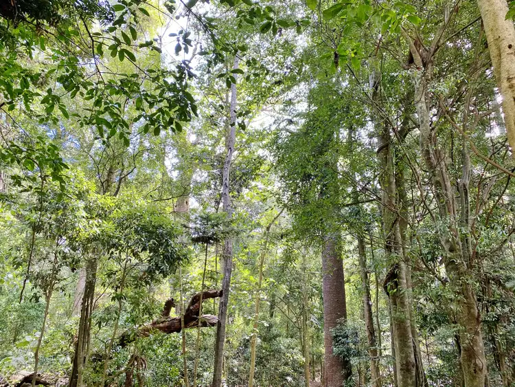 Seventh view of Homely land listing, Lot 9 Bunya Mountains Road, Bunya Mountains QLD 4405