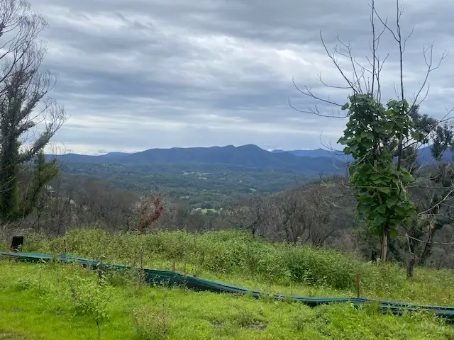 Fourth view of Homely land listing, 166 Hore Laceys Road, Brogo NSW 2550