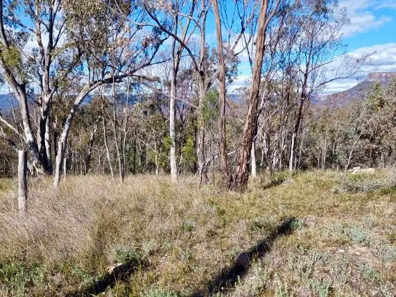 86 Pinegrove Rd, Capertee NSW 2846