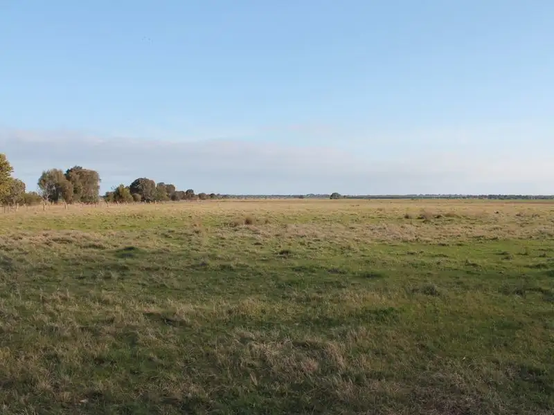 Main view of Homely rural property listing, 877 Princes Highway (2 Racecourse Road), Bairnsdale VIC 3875