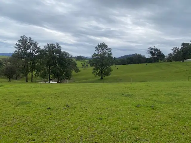 Fourth view of Homely land listing, 376 Upper Brogo Road, Verona NSW 2550