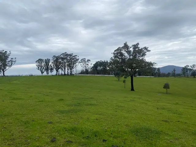 Fifth view of Homely land listing, 376 Upper Brogo Road, Verona NSW 2550