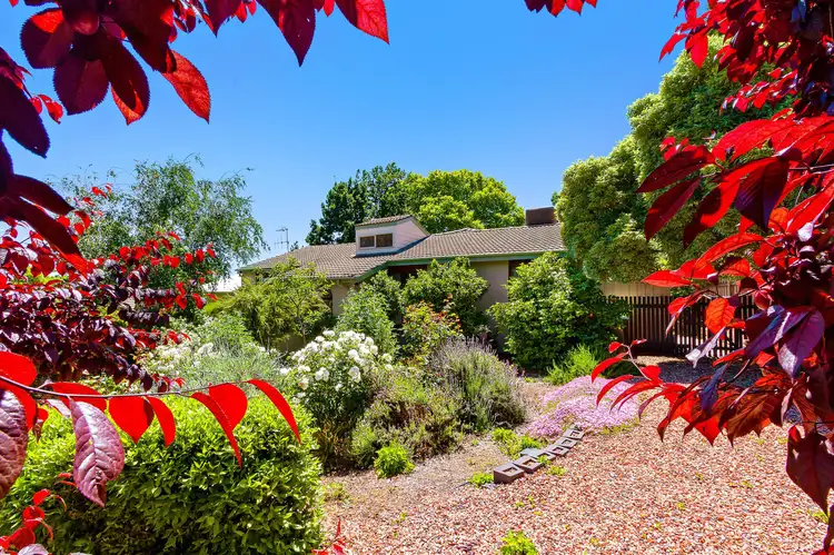 Second view of Homely house listing, 17 Fortitude Street, Red Hill ACT 2603