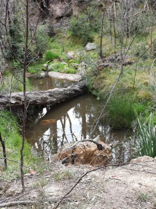 Main view of Homely land listing, 29 Catarrh Creek Road, Torrington NSW 2371