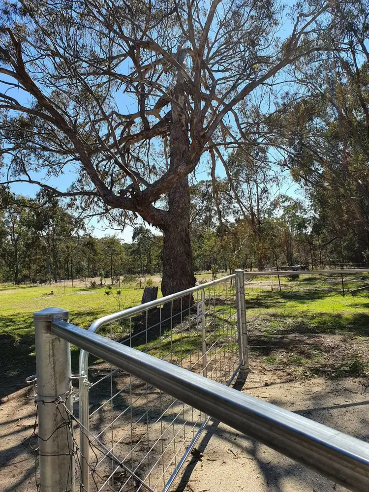 Fourth view of Homely land listing, 29 Catarrh Creek Road, Torrington NSW 2371