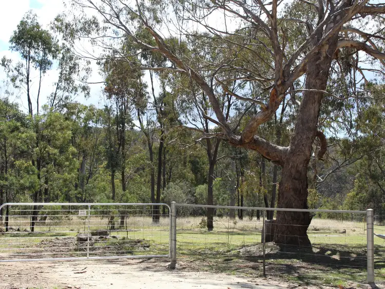Fifth view of Homely land listing, 29 Catarrh Creek Road, Torrington NSW 2371