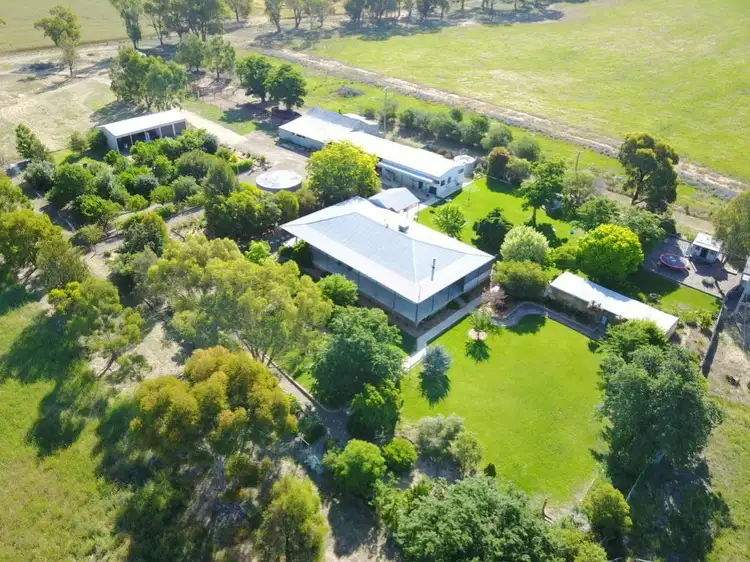 Main view of Homely rural property listing, 150 Rowans Lane, Bendick Murrell NSW 2803