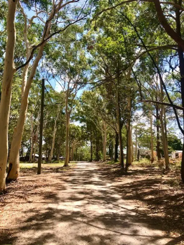 Main view of Homely land listing, 13-17 Parakeet Street, Macleay Island QLD 4184