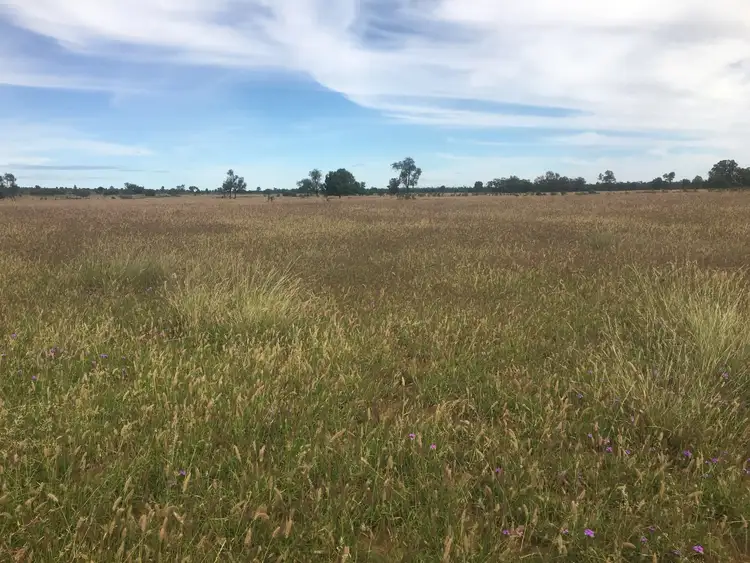 Sixth view of Homely rural property listing, 0 Silver Spring Road, Surat QLD 4417