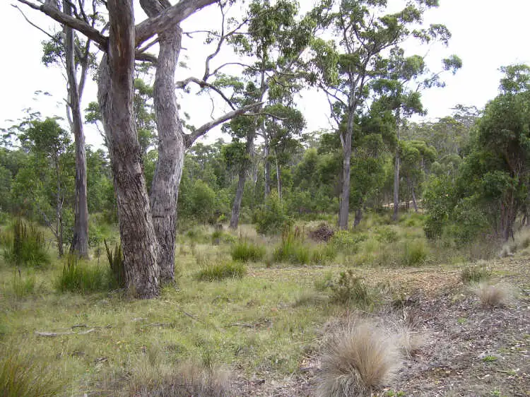 Main view of Homely land listing, 3 Brewis Place, Lake Leake TAS 7210