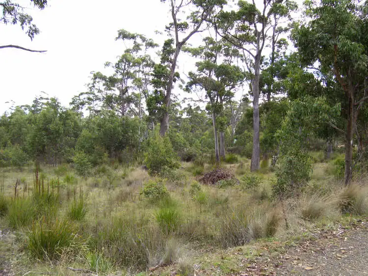 Third view of Homely land listing, 3 Brewis Place, Lake Leake TAS 7210