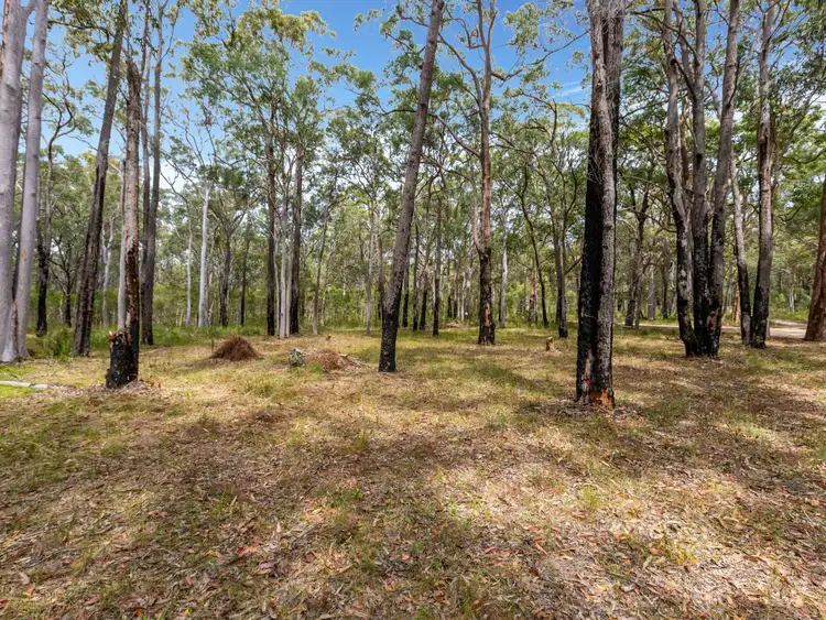Fourth view of Homely land listing, 1495 Lismore Road, North Arm Cove NSW 2324