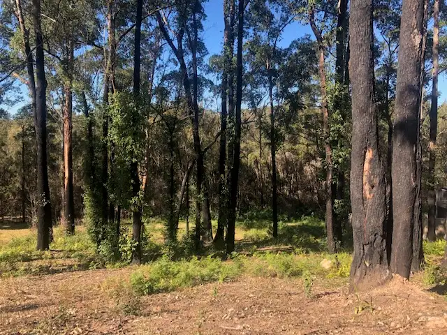 17 Oakwood Way, Catalina NSW 2536