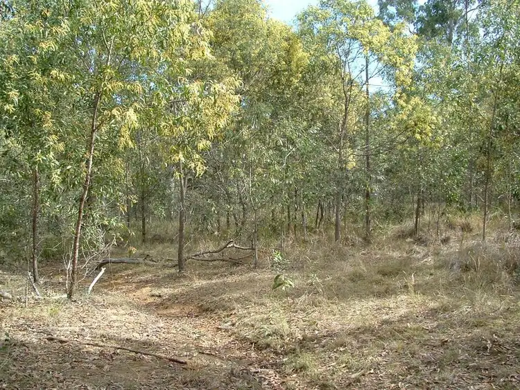 Fifth view of Homely land listing, 51 Royal Drive, Mount Hallen QLD 4312