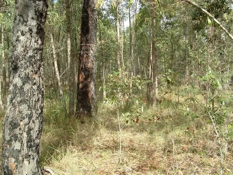 Sixth view of Homely land listing, 51 Royal Drive, Mount Hallen QLD 4312