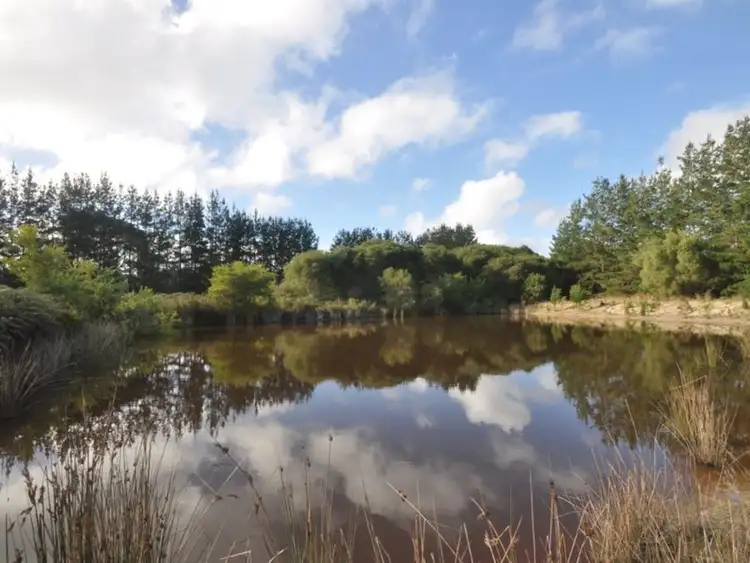 Fifth view of Homely land listing, Lot 34 Browns Road, Pemberton WA 6260