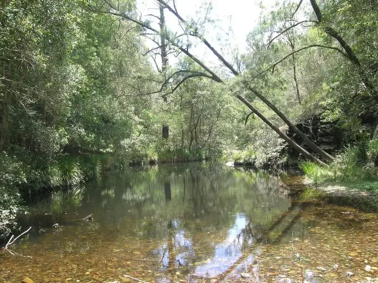 Lot 6 Dungay Creek Rd, Wittitrin NSW 2440