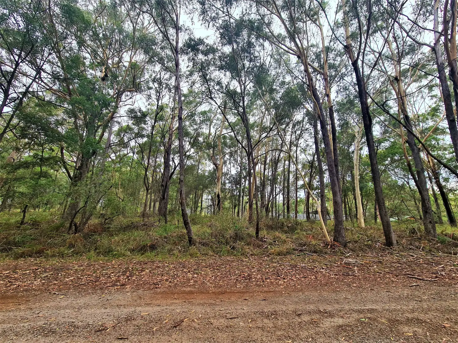 Main view of Homely land listing, 38 Basket Beach Road, Russell Island QLD 4184