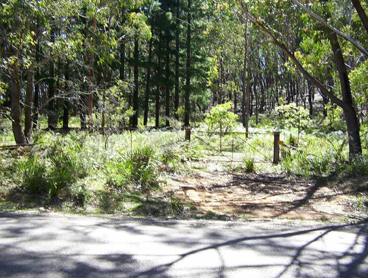 Third view of Homely rural property listing, 550 Wombeyan Caves Road, Taralga NSW 2580