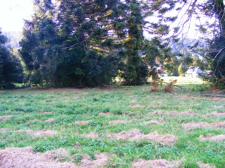 Lot 3 Bunya Mountains Road, Bunya Mountains QLD 4405