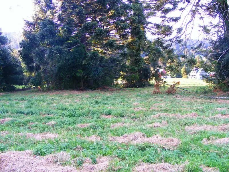 Main view of Homely land listing, Lot 3 Bunya Mountains Road, Bunya Mountains QLD 4405