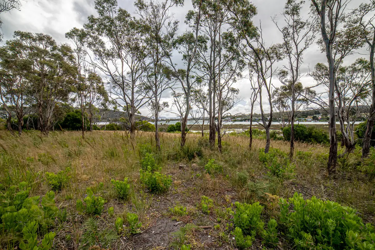 Main view of Homely land listing, 20 Colleen Crescent, Primrose Sands TAS 7173