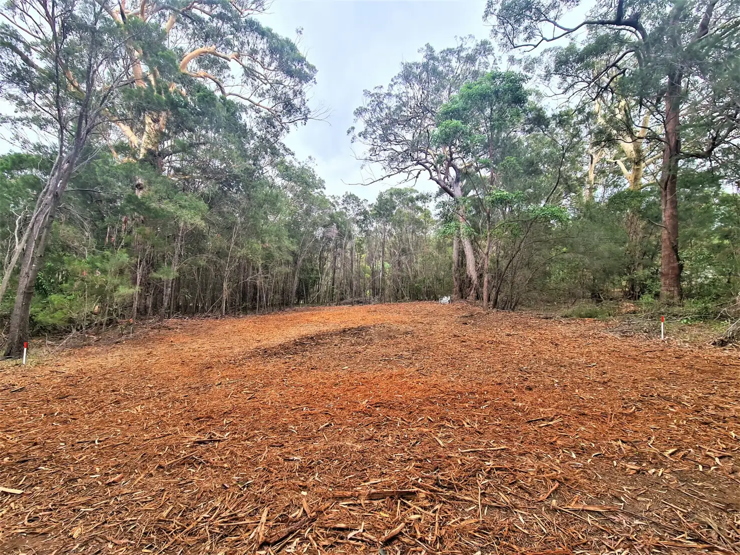 Main view of Homely land listing, 16 Pearl Street, Russell Island QLD 4184