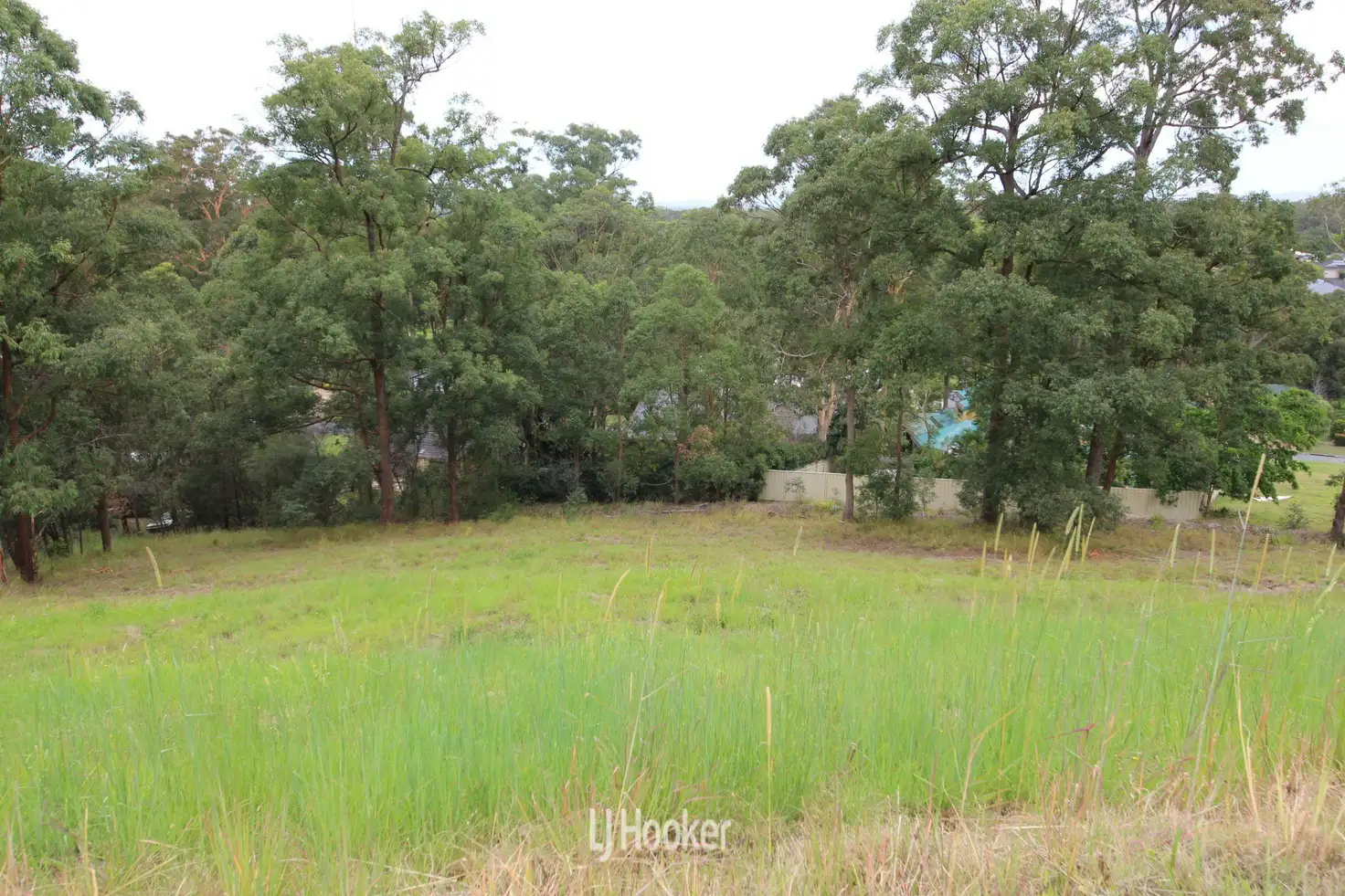 Main view of Homely land listing, 6 The Knoll, Tallwoods Village NSW 2430