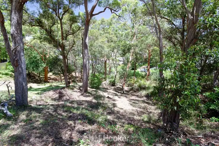 Sixth view of Homely land listing, 36 Somersham Avenue, Rathmines NSW 2283
