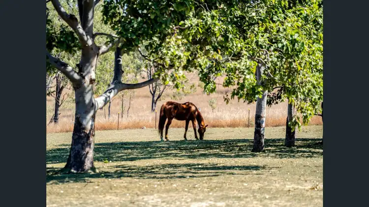 530 Mount Beppo Road, Mount Beppo QLD 4313