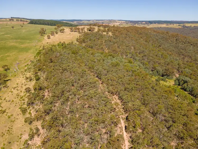 Seventh view of Homely rural property listing, 591 Wrens Nest Road Porters Retreat, Oberon NSW 2787