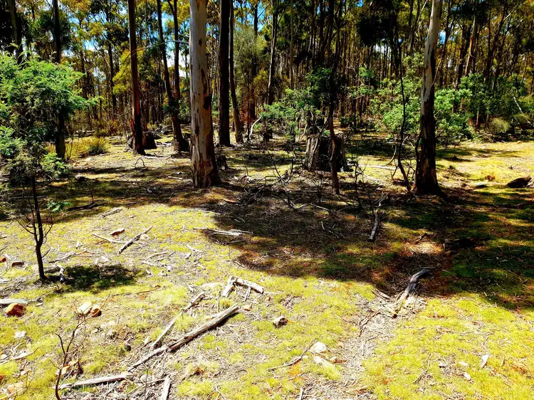 Second view of Homely land listing, Lot 1/ Elderslie Road, Broadmarsh TAS 7030