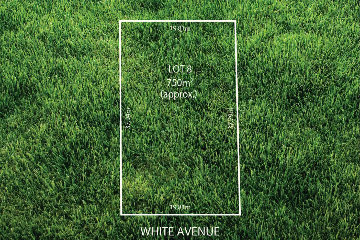 Main view of Homely land listing, 40 White Avenue, Lockleys SA 5032