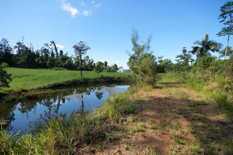 Seventh view of Homely rural property listing, L17 Tully Gorge Road, Tully QLD 4854