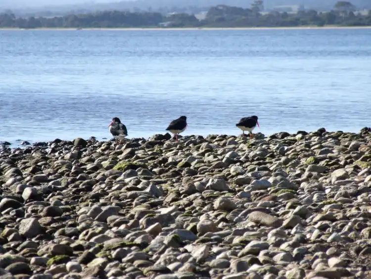 Sixth view of Homely land listing, 2 Kookaburra Avenue, Metung VIC 3904