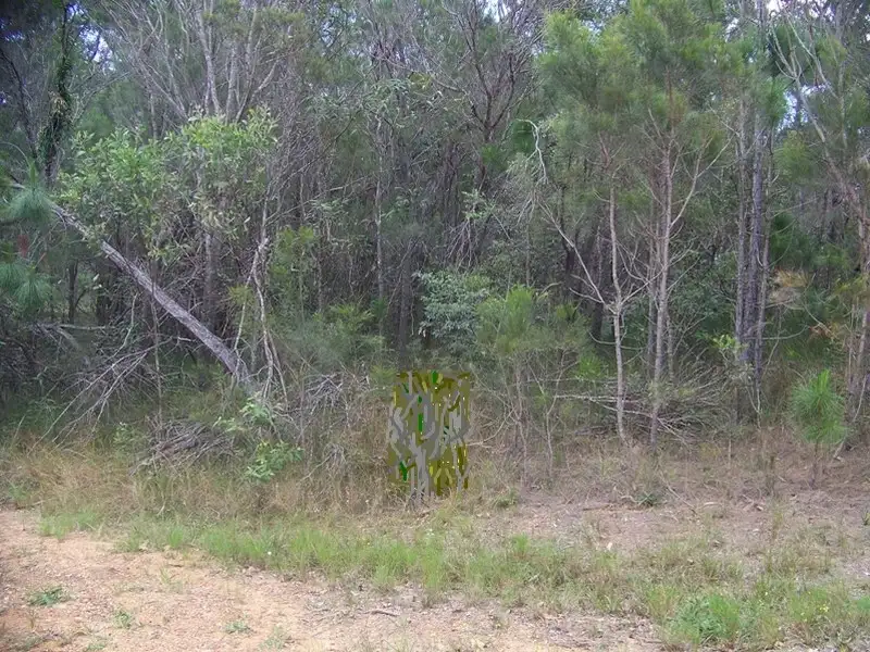 Main view of Homely land listing, LOT 55 Belar st, Lamb Island QLD 4184
