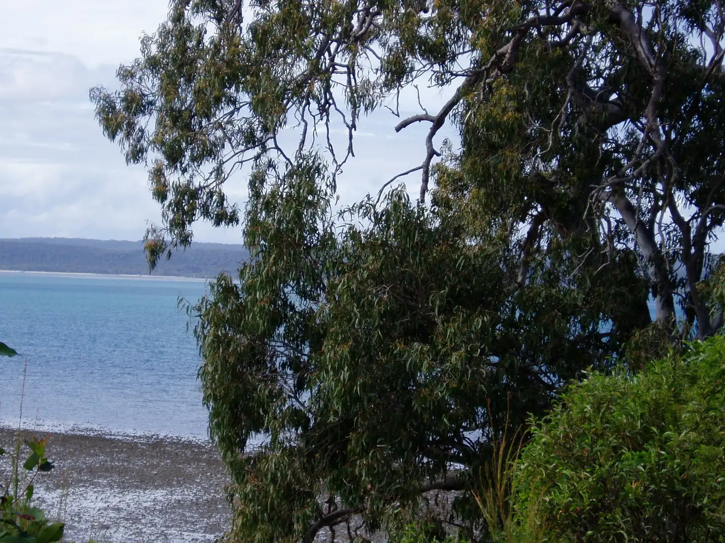 Main view of Homely land listing, 38 Koonwarra Parade, Macleay Island QLD 4184