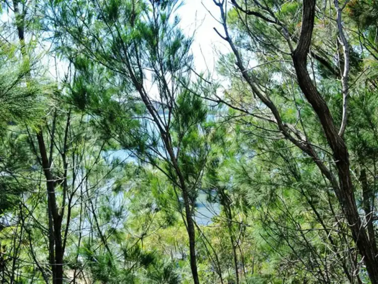 Fifth view of Homely land listing, 38 Koonwarra Parade, Macleay Island QLD 4184