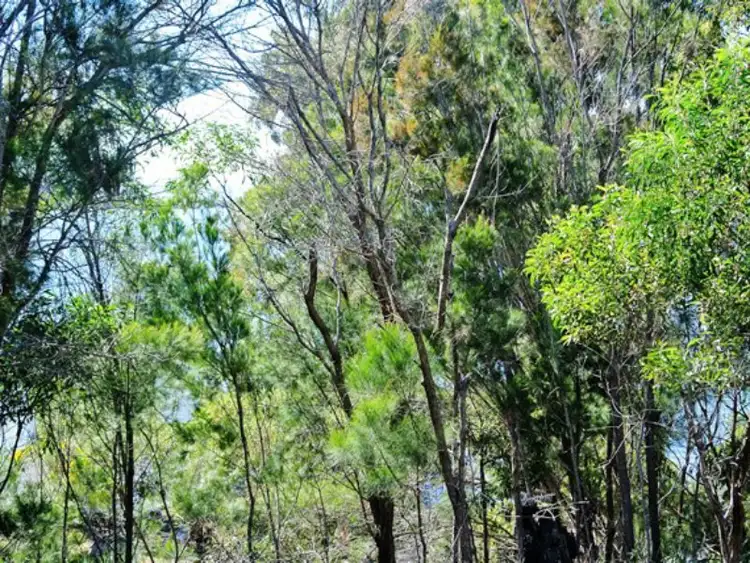 Seventh view of Homely land listing, 38 Koonwarra Parade, Macleay Island QLD 4184