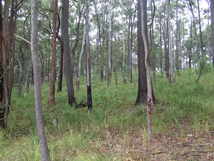 Fifth view of Homely land listing, 56A Outlook Drive, North Arm Cove NSW 2324