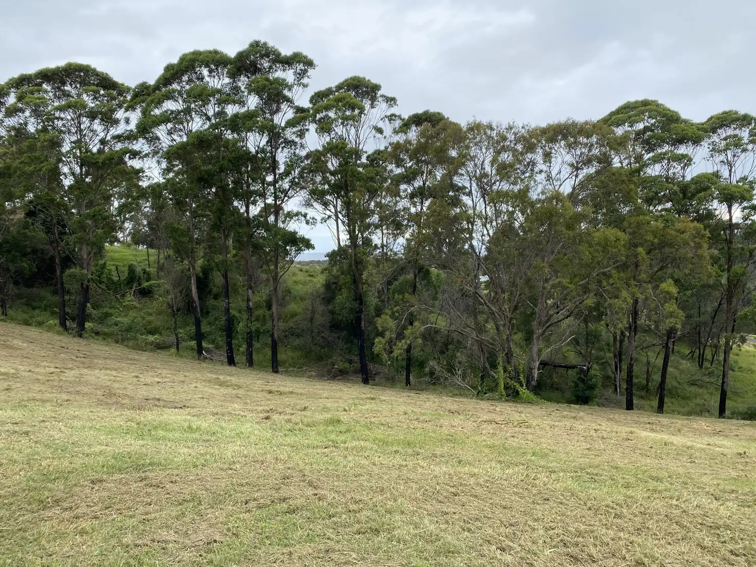 Main view of Homely land listing, 26 Thompsons Drive, Tathra NSW 2550