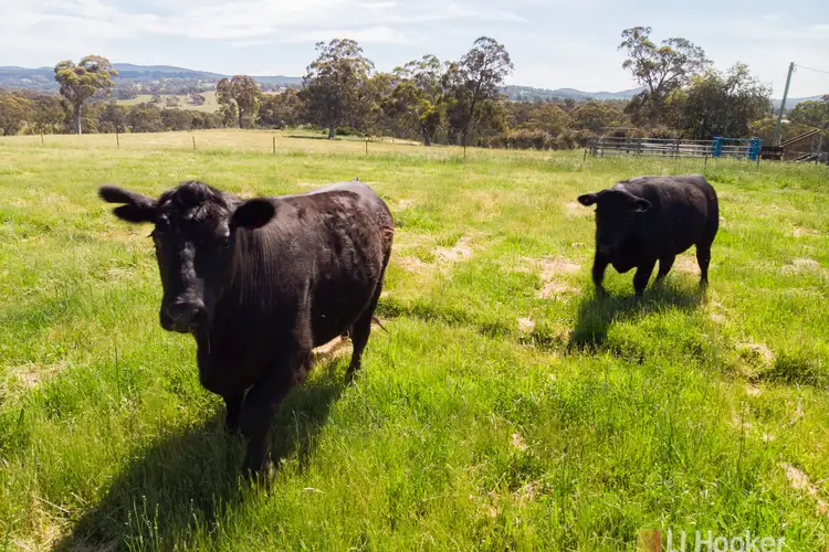 Fourth view of Homely rural property listing, 43 Drumkeen Lane, Portland NSW 2847