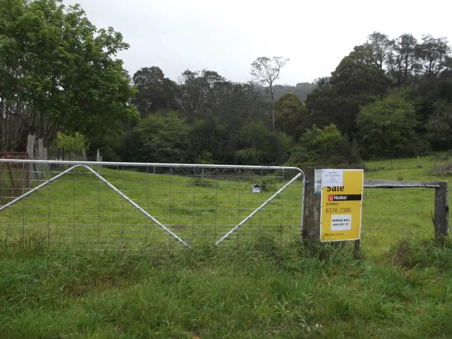 Main view of Homely land listing, PID 680125 Mount Paris Dam Road, Weldborough TAS 7264