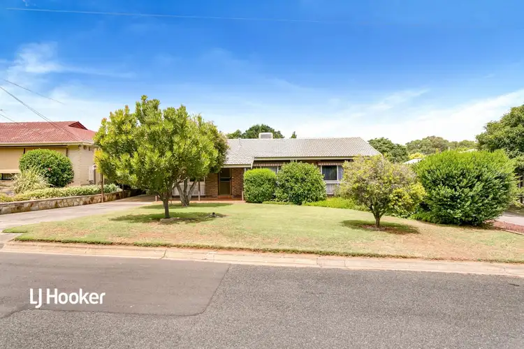 19 Knightsbridge Avenue, Valley View SA 5093