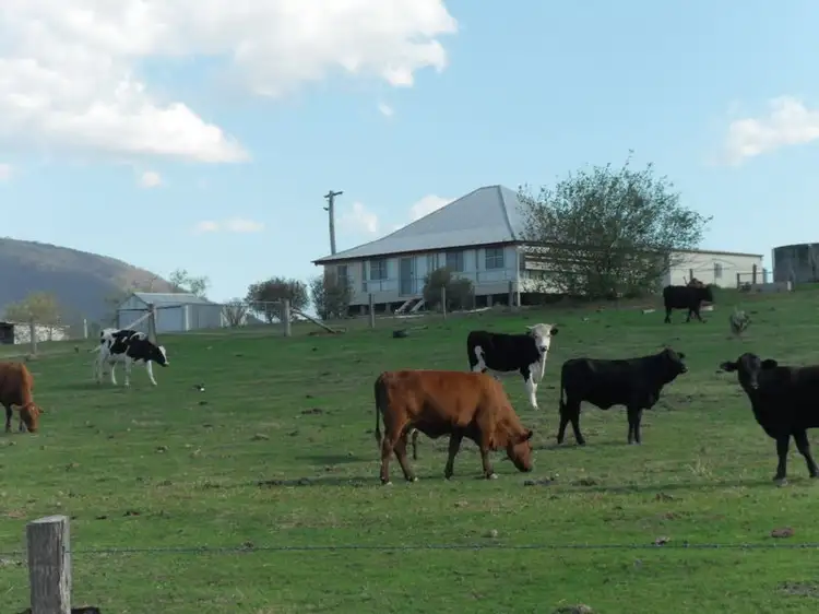 Main view of Homely rural property listing, 484 Freestone Creek Rd, Freestone QLD 4370
